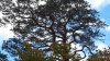 20150920_134138